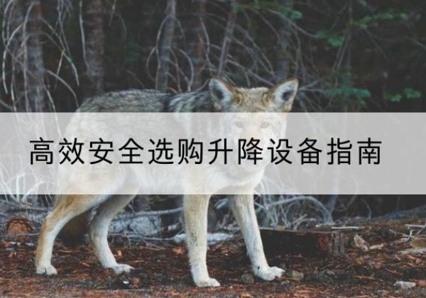 钱塘升降货梯厂家推荐-*安全选购升降设备指南