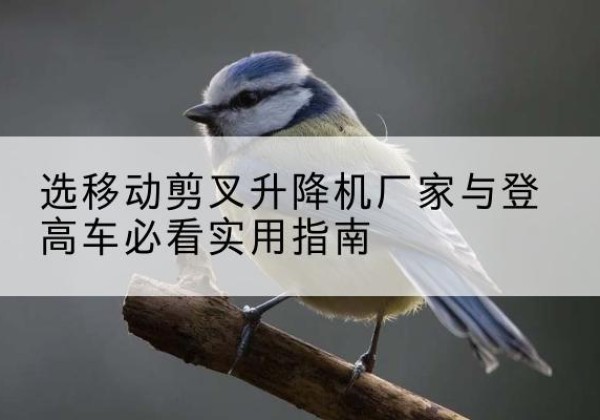 钱塘电动升降机厂家-选移动剪叉升降机厂家与登高车必看实用指南